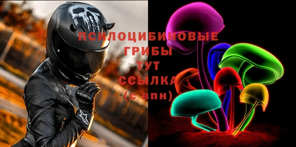 spice Белокуриха
