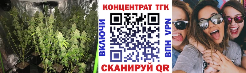 Купить  Кропоткин  ТГК THC oil 